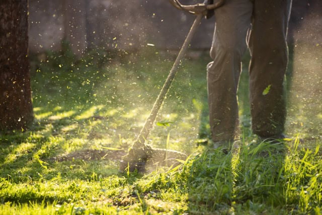 tree felling and garden services Pretoria Centurion Johannesburg